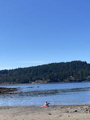 Salish 1